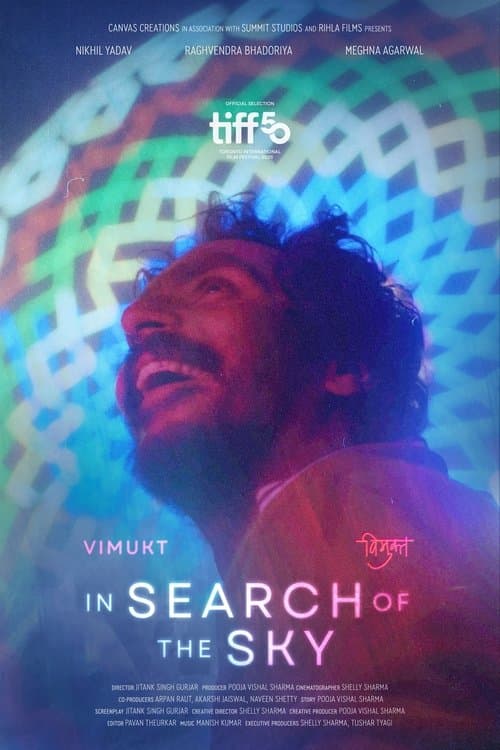 In Search of The Sky poster